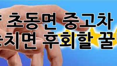 밀양 초동면 중고차 구매, 놓치면 후회할 꿀팁🍯